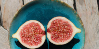 Smokve – sveto voće