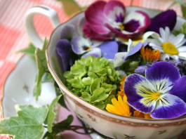 Jestivo cveće – praznik ukusa, mirisa i boja u tanjiru