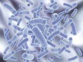 Kada koristiti probiotike?