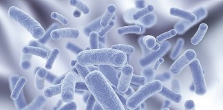 Kada koristiti probiotike?