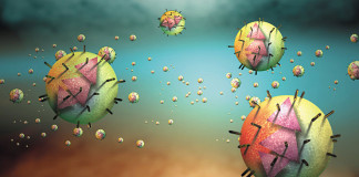 Karcinom jetre otkriven na vreme može biti izlečen!