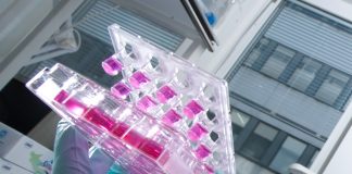 Inovia: Novi lekovi na listi prilika da pacijenti žive kvalitetnije i duže