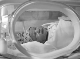 Žutica kod novorođenčadi